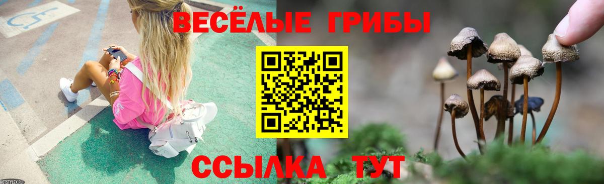 Псилоцибиновые грибы Psilocybine cubensis  Вход с VPN  Саяногорск  Галлюциногенные грибы ЛСД 